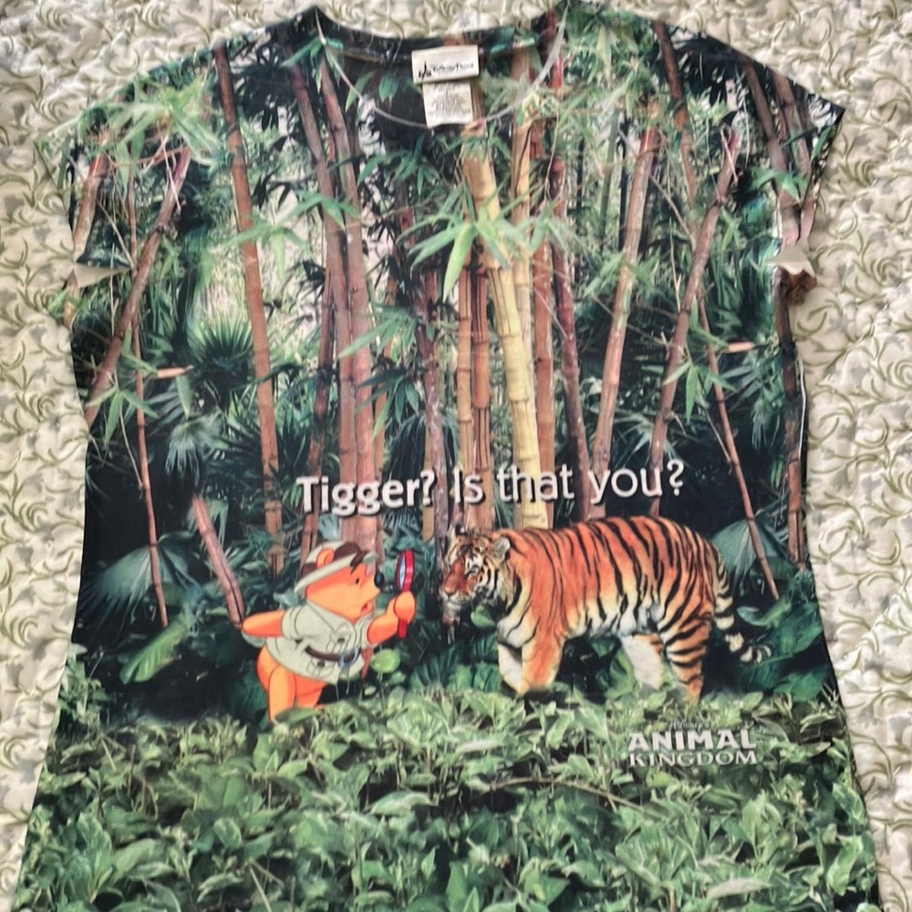 NWOT Disney Parks Winnie the Pooh & Tigger top